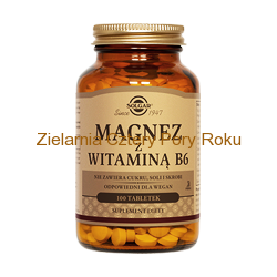 Magnez z witaminą B6 Solgar 100 tabletek